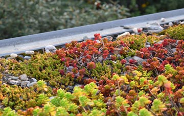 the cost of Cranford St Andrew green roof installation