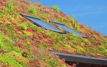 Cranford St Andrew living roof systems