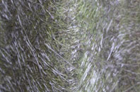 Cranford St Andrew fibreglass roof work